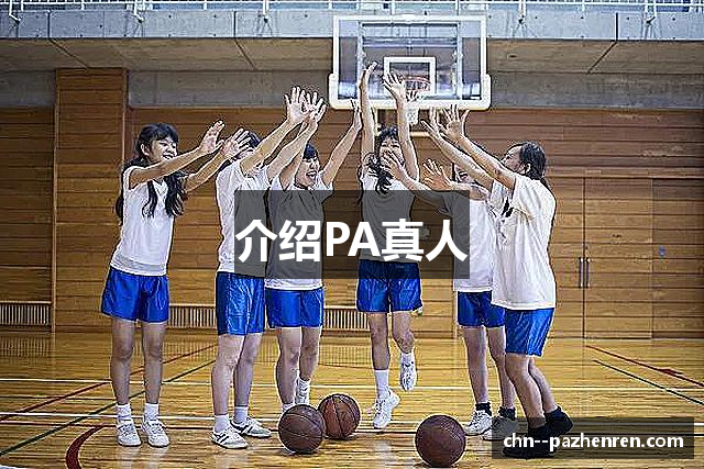 介绍PA真人
